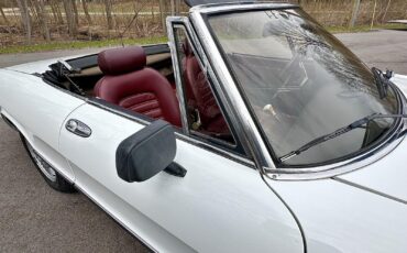 Alfa-Romeo-Spider-1980-EXCELLENT-DRIVER-36