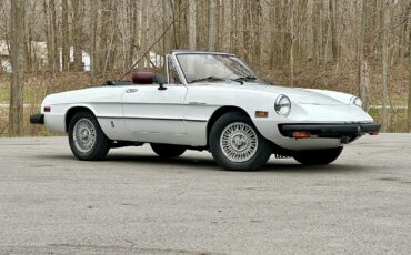 Alfa-Romeo-Spider-1980-EXCELLENT-DRIVER-4