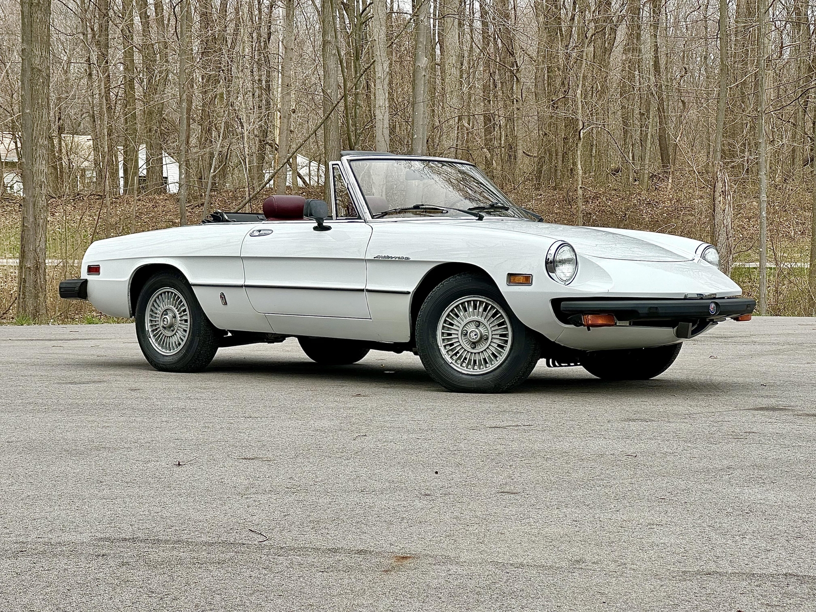 Alfa-Romeo-Spider-1980-EXCELLENT-DRIVER-4