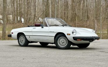 Alfa-Romeo-Spider-1980-EXCELLENT-DRIVER-5