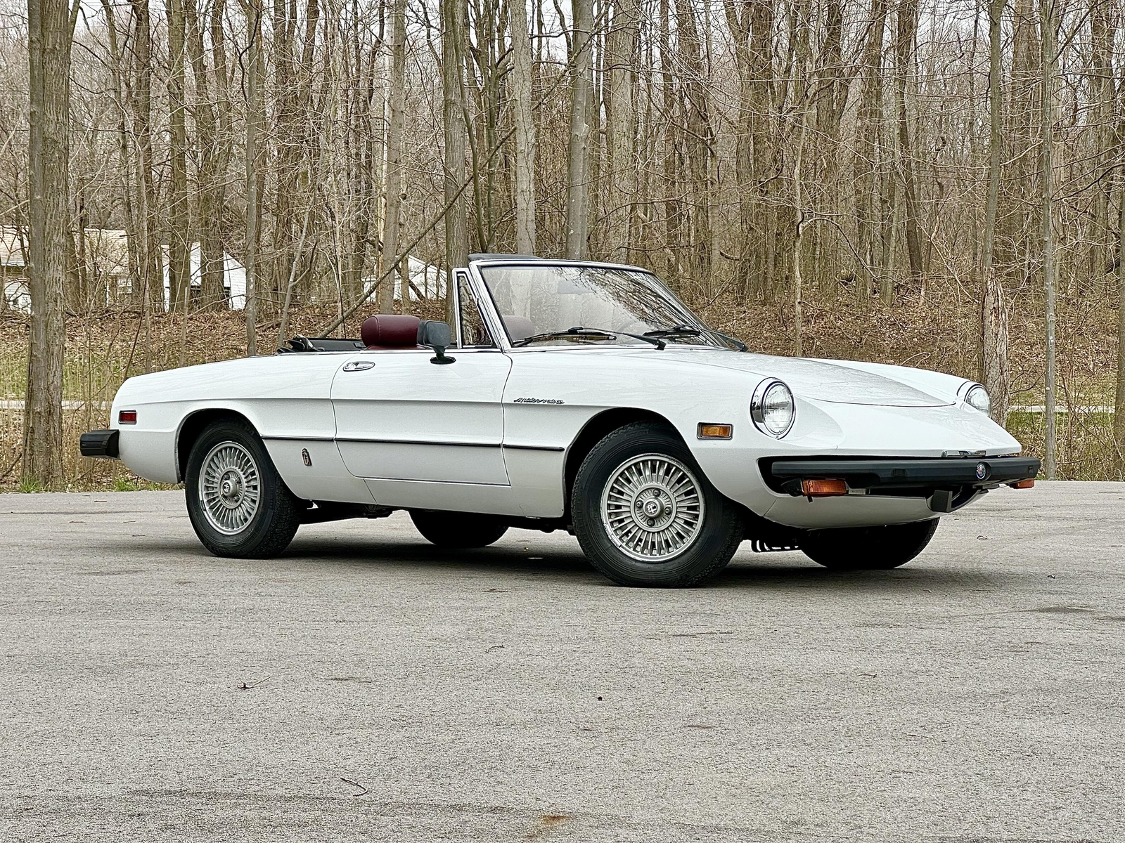 Alfa-Romeo-Spider-1980-EXCELLENT-DRIVER-5