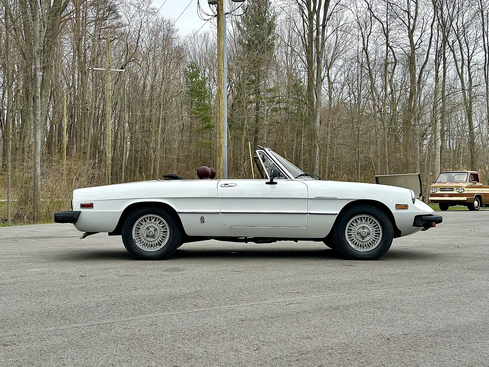 Alfa-Romeo-Spider-1980-EXCELLENT-DRIVER-6