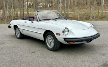 Alfa-Romeo-Spider-1980-EXCELLENT-DRIVER-7