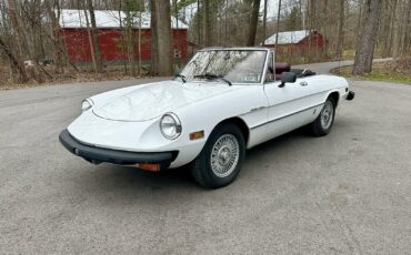 Alfa-Romeo-Spider-1980-EXCELLENT-DRIVER-9