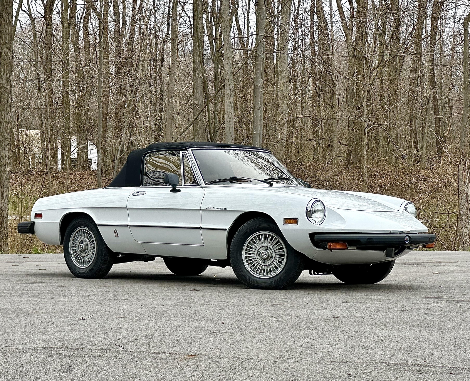 Alfa-Romeo-Spider-1980-EXCELLENT-DRIVER