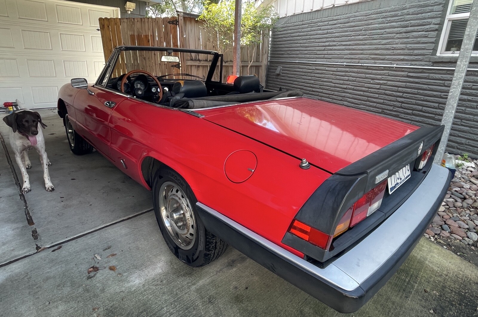 Alfa-Romeo-Spider-1985-1