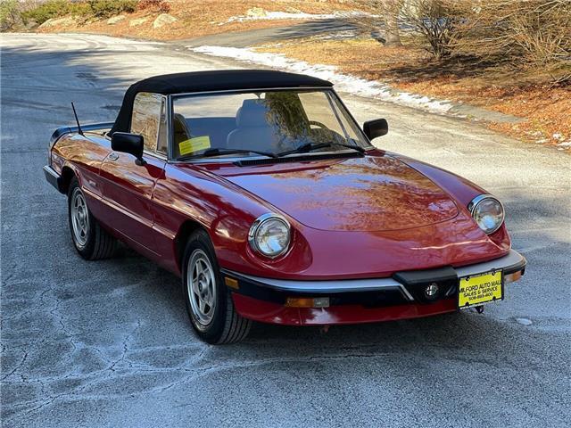 Alfa-Romeo-Spider-1987-1