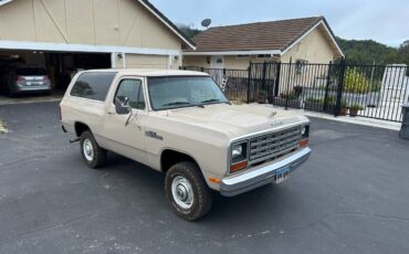 Amc-Harger-1984-custom-13