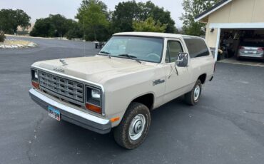 Amc-Harger-1984-custom-3