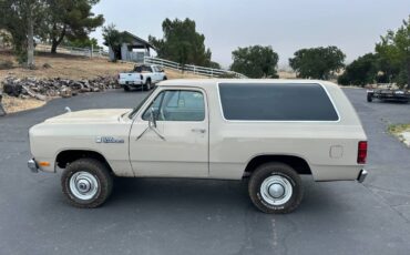 Amc-Harger-1984-custom-4