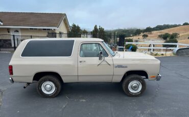 Amc-Harger-1984-custom-5