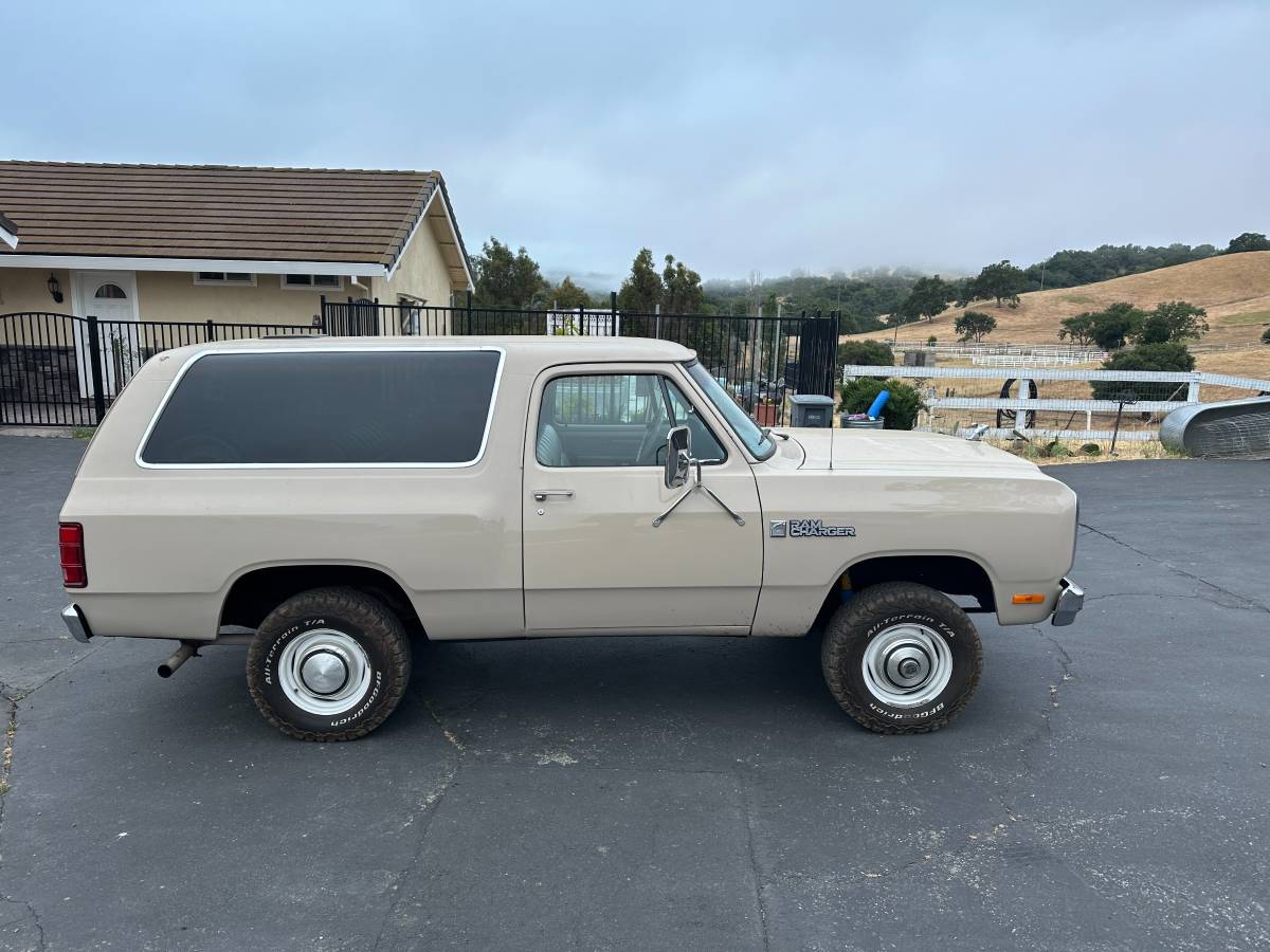 Amc-Harger-1984-custom-5