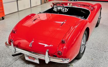 Austin-Healey-100-1955-14