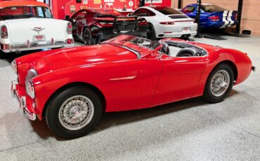 Austin-Healey-100-1955-5