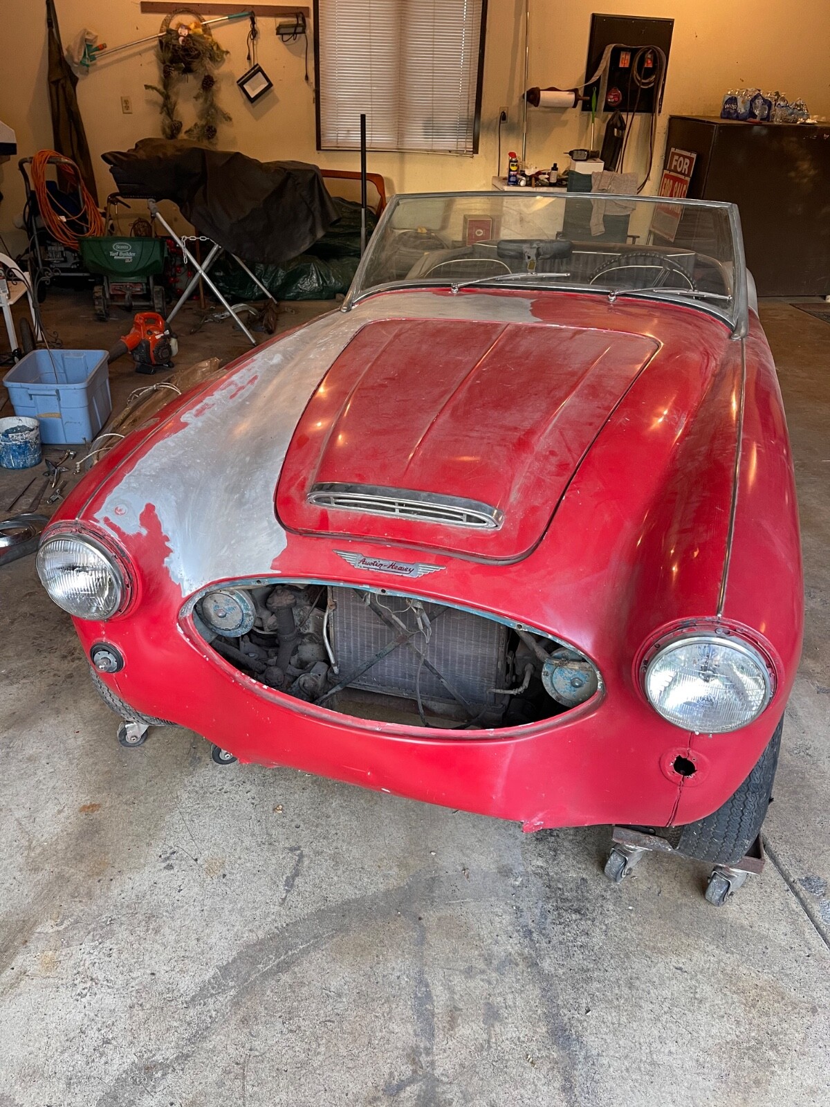 Austin-Healey-100-1957-Convertible-3