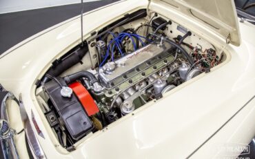 Austin-Healey-100-6-1959-Roadster-22