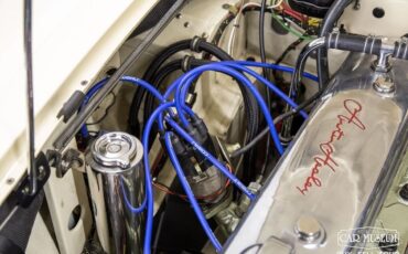 Austin-Healey-100-6-1959-Roadster-32
