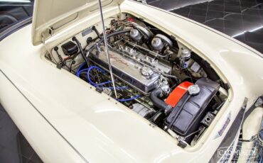 Austin-Healey-100-6-1959-Roadster-37