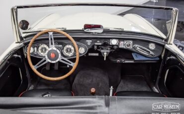 Austin-Healey-100-6-1959-Roadster-7