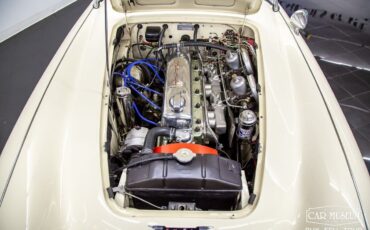 Austin-Healey-100-6-1959-Roadster-8