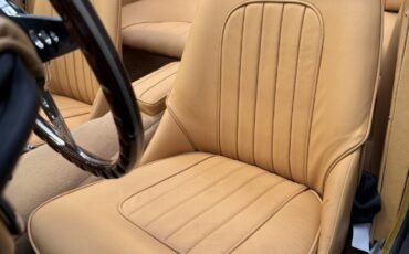 Austin-Healey-3000-1960-21
