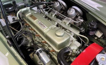 Austin-Healey-3000-1960-26