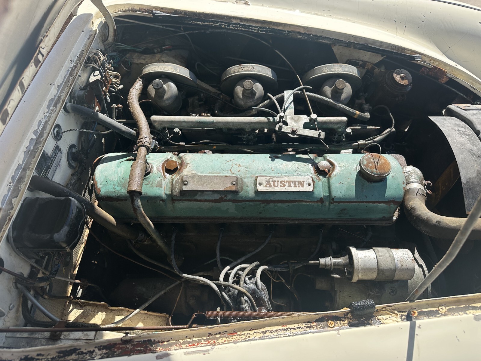 Austin-Healey-3000-1962-Convertible-14