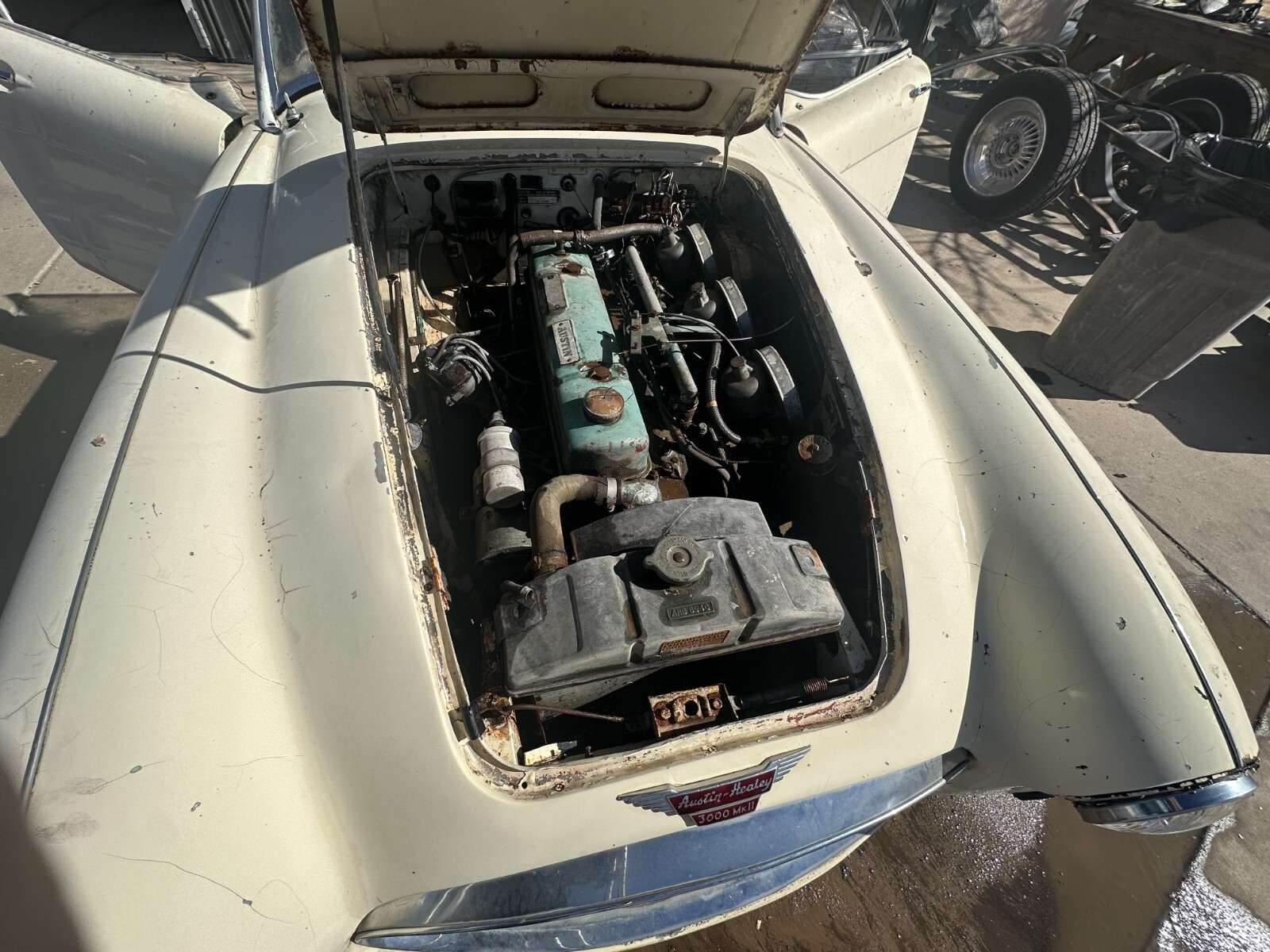 Austin-Healey-3000-1962-Convertible-17