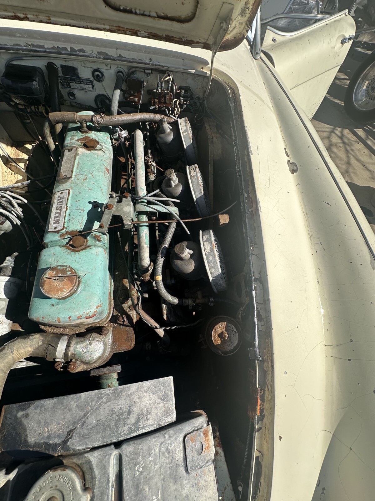 Austin-Healey-3000-1962-Convertible-19