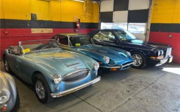 Austin-Healey-3000-1964-22