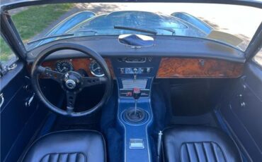 Austin-Healey-3000-1964-29