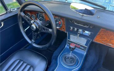 Austin-Healey-3000-1964-33