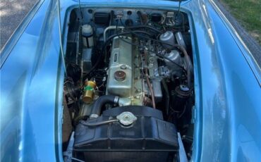 Austin-Healey-3000-1964-36