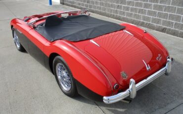 Austin-Healey-BN2-100M-Tribute-1956-28