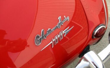 Austin-Healey-BN2-100M-Tribute-1956-32
