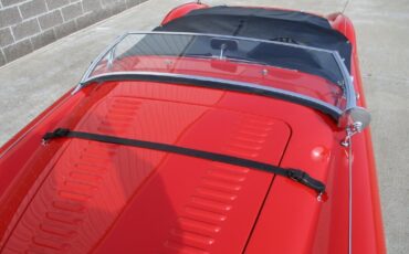 Austin-Healey-BN2-100M-Tribute-1956-37