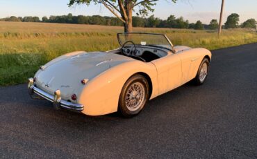 Austin-Healey-Other-1956-Convertible-1