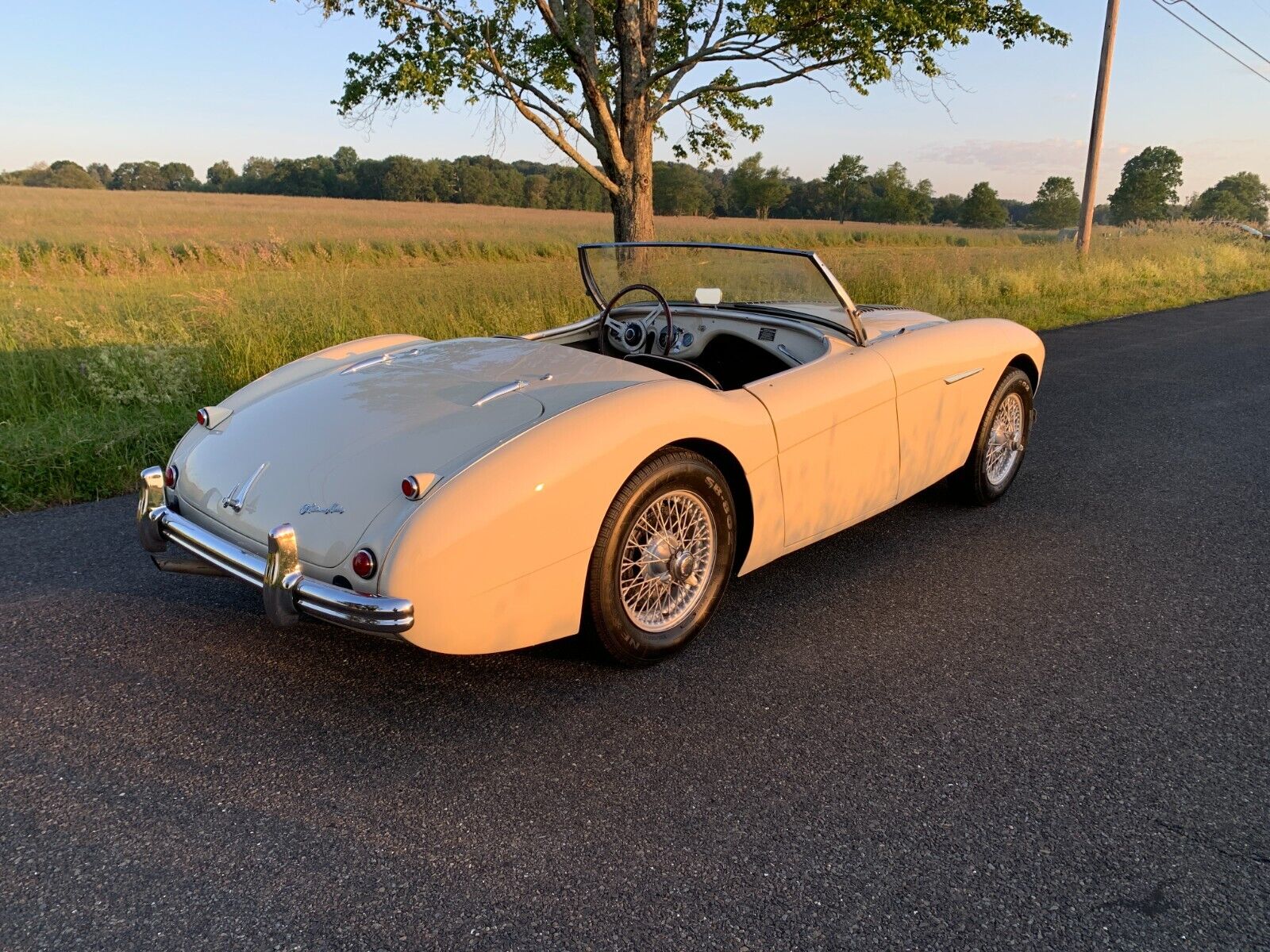 Austin-Healey-Other-1956-Convertible-1