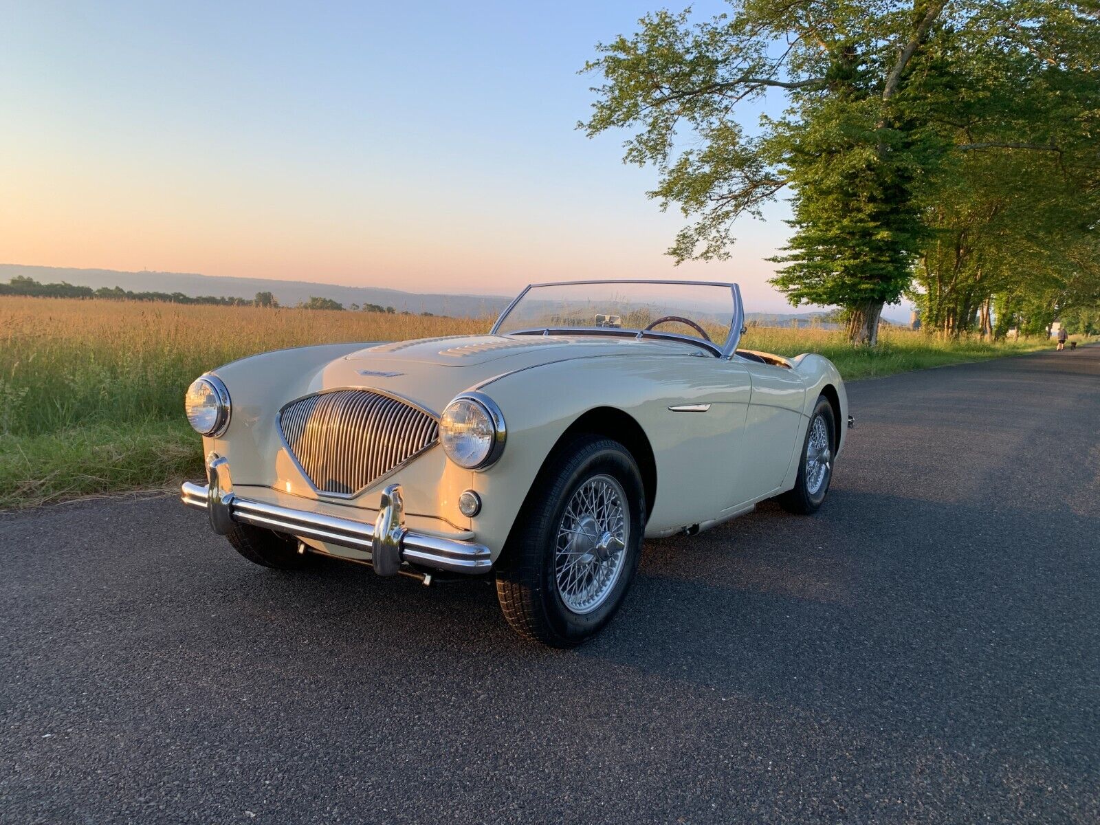 Austin-Healey-Other-1956-Convertible-3