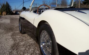 Austin-Healey-Other-1956-Convertible-4