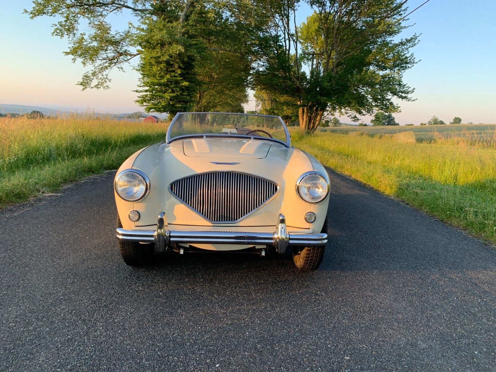 Austin-Healey-Other-1956-Convertible-4