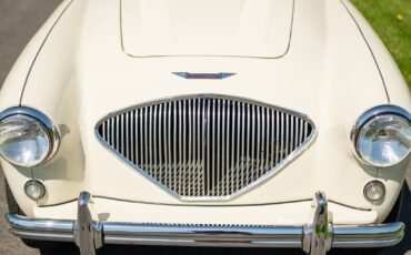Austin-Healey-Other-1956-Convertible-5