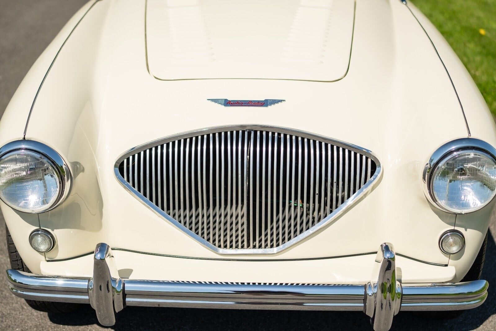 Austin-Healey-Other-1956-Convertible-5