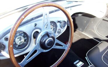 Austin-Healey-Other-1956-Convertible-9