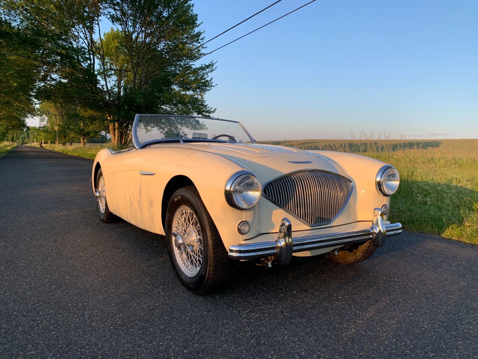 Austin Healey Other 1956 Convertible