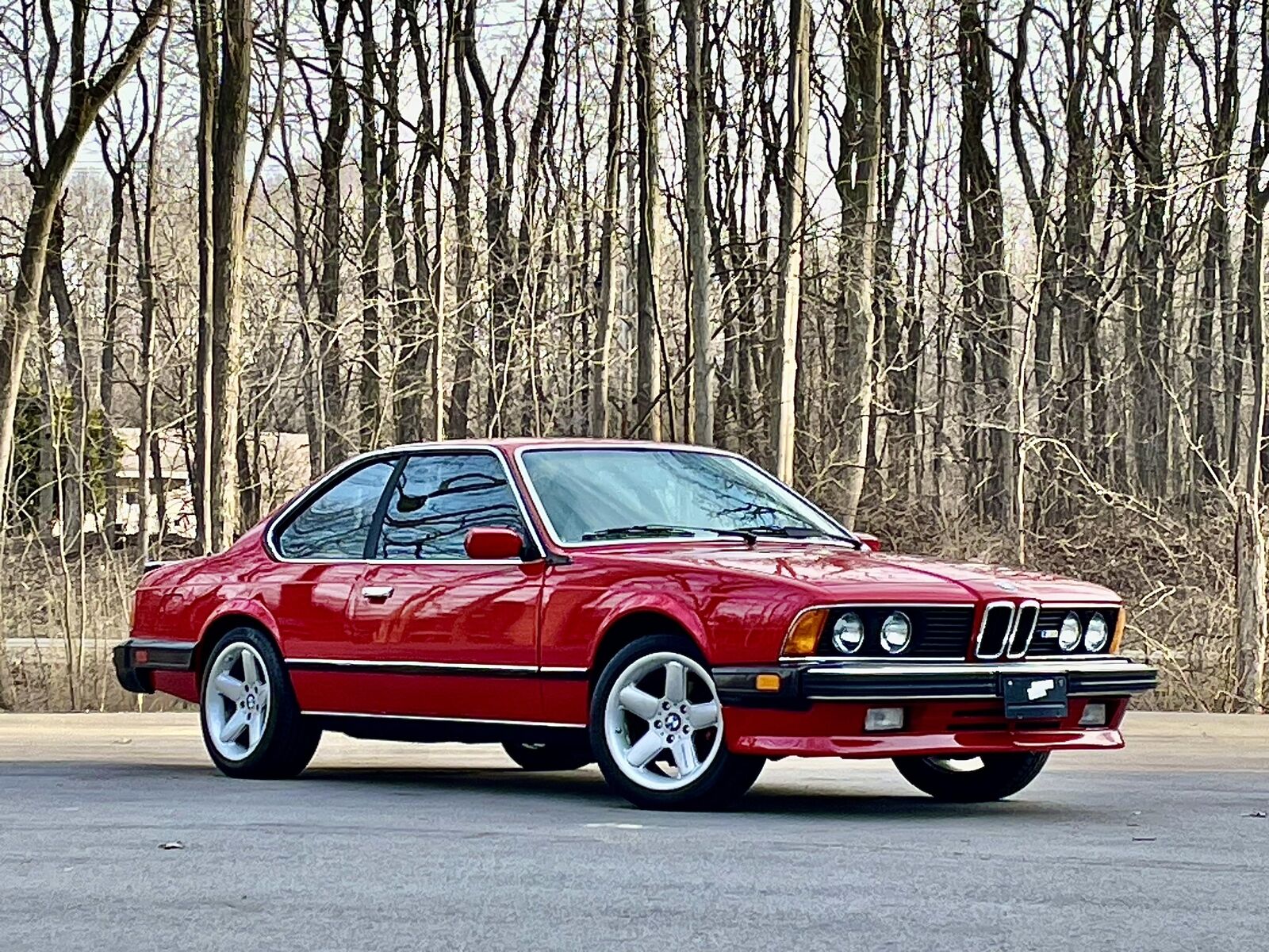 BMW-M6-1987-CERAMIC-COATED-EXCELLENT