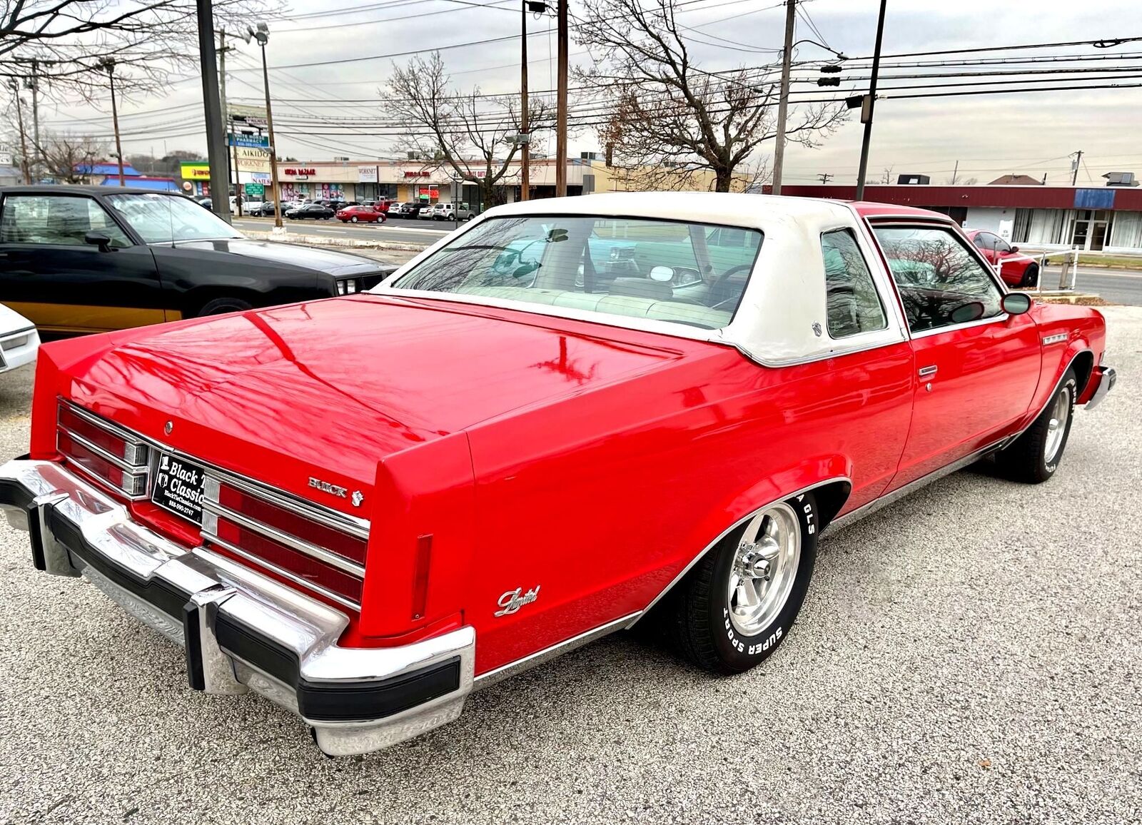 Buick-Electra-1977-Deluxe-5
