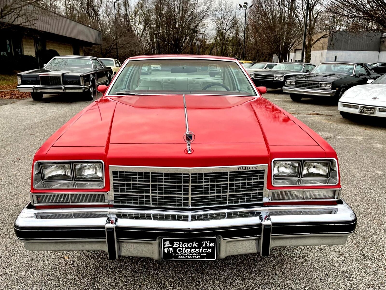 Buick-Electra-1977-Deluxe-8