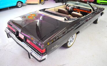 Buick-LeSabre-1975-Convertible-11