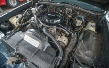 Buick-LeSabre-1985-Coupe-19